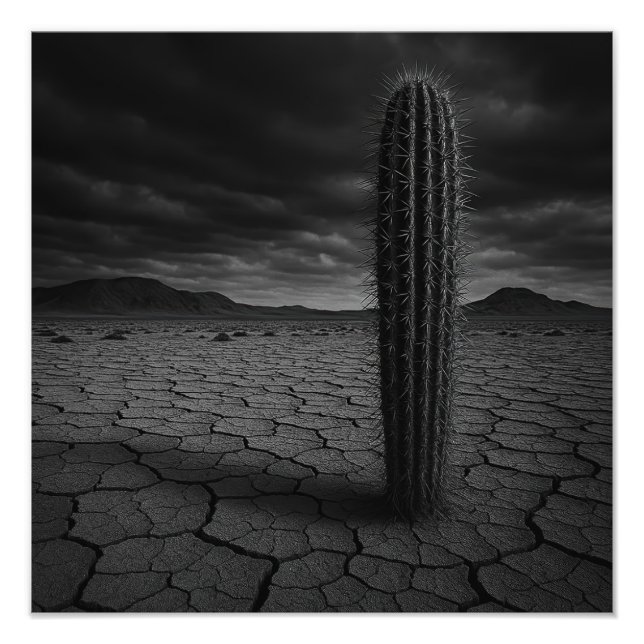 Wüste - Fotodruck (Vorne)