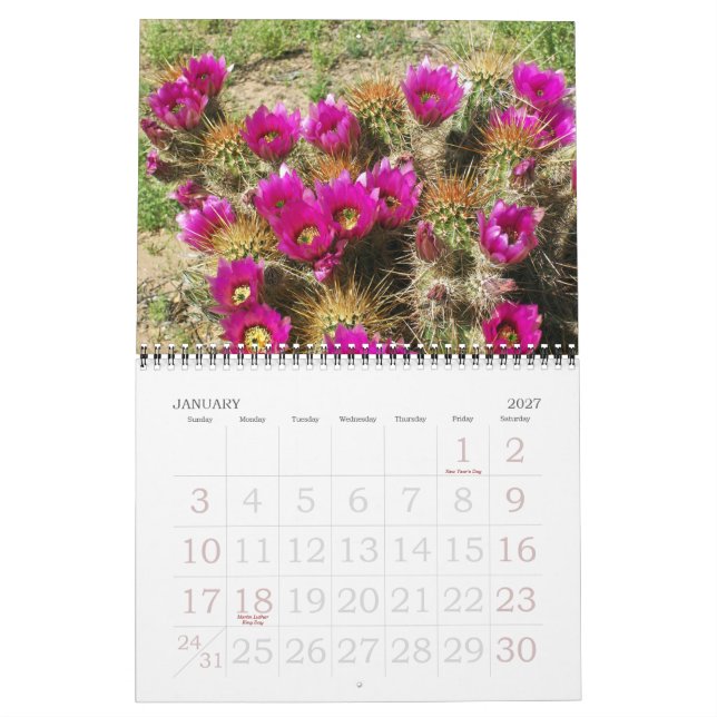 WÜSTE IM BLOOM KALENDER (Jan 2027)