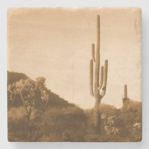 Wüste im Sepia Steinuntersetzer