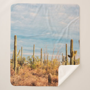 Wüste mit Saguaro cacti Sherpadecke