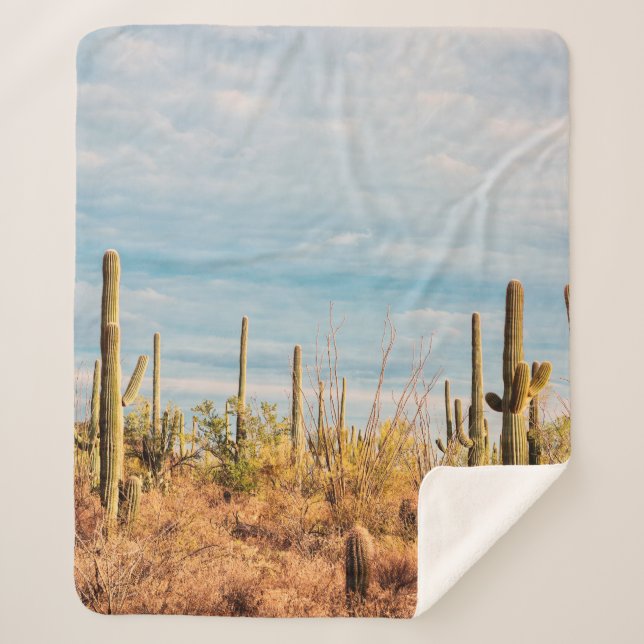 Wüste mit Saguaro cacti Sherpadecke (Vorderseite)