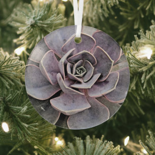 "WÜSTE PFLANZE/WESTTHEMEN/ERFOLGREICHE PFLANZE ORNAMENT AUS GLAS