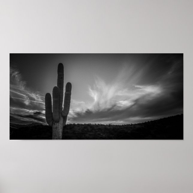 Wüste Poster (Vorne)