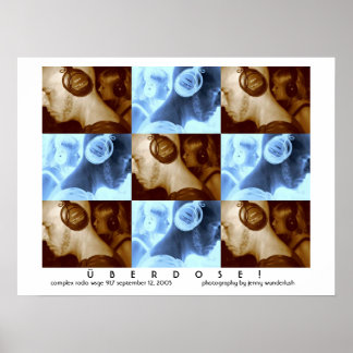 Wüste Poster