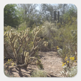 Wüste Quadratischer Aufkleber