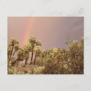 Wüste Rainbow Postcard Postkarte