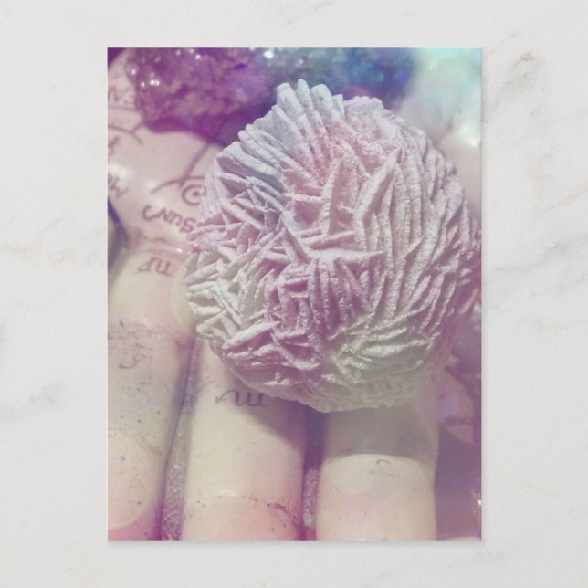 Wüste-Rose Postkarte (Vorderseite)