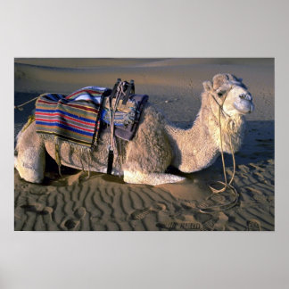 Wüste Sahara in der Nähe von Merzouga, Marokko Poster