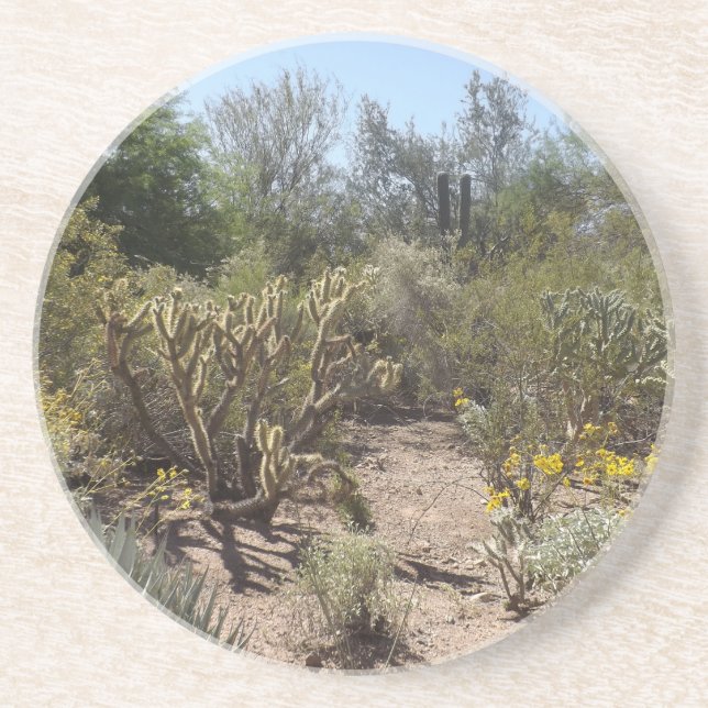 Wüste Sandstein Untersetzer (Vorne)