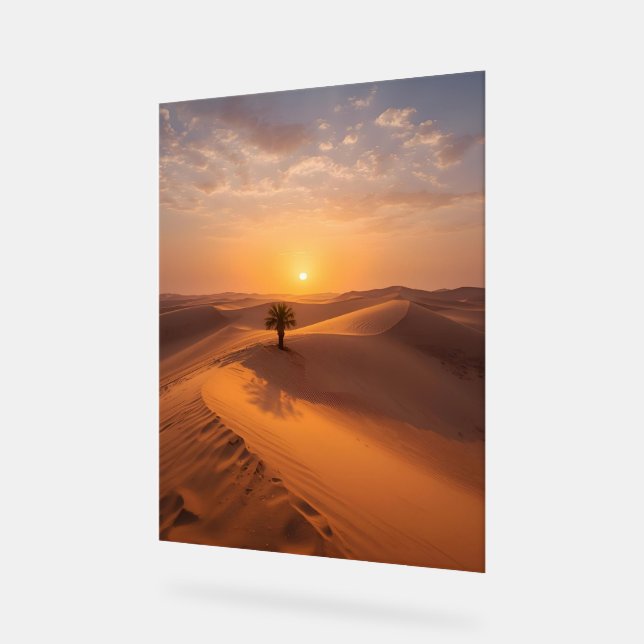 Wüste Solitude - Goldene Dünen bei Sonnenuntergang Acrylschild (Winkel)