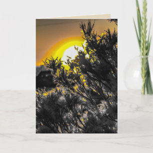 Wüste Sonnenuntergang Blank Grußkarte Karte
