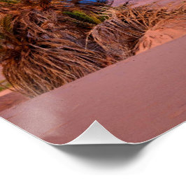 Wüste-Star-Trails: Palm Trees & Lieferwagen Truck  Poster