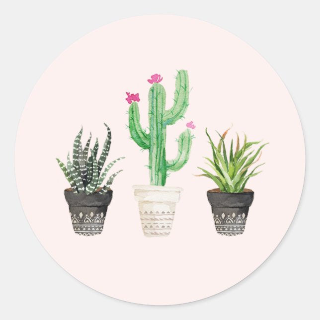 Wüste Succulent Cactus Favor Stickers - Pink (Vorderseite)
