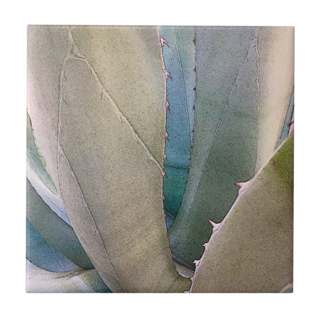 Wüste Südwestbotanisch Fliese (Vorderseite)