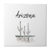 Wüste Südwestkaktus Arizona Schwarz-weiß