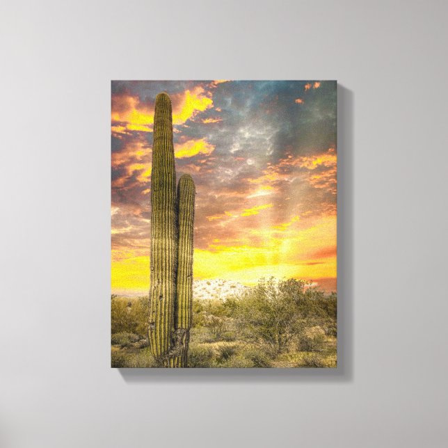 Wüste von Arizona 2706 bei Sonnenuntergang Leinwanddruck (Vorderseite)