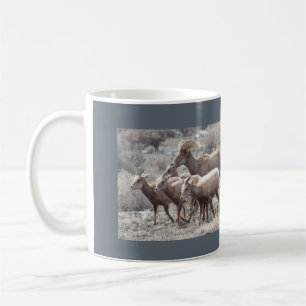 Wüstebighorn-Schaf-Foto-Tasse Tasse