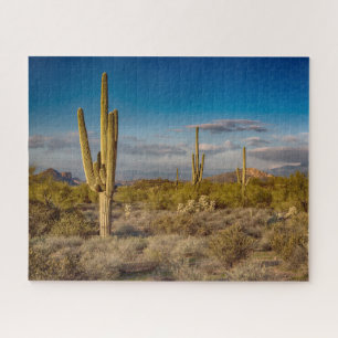 Wüsten   Aberglaube, Arizona Puzzle