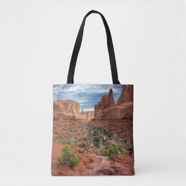 Wüsten | Arches National Park, Utah (Vorderseite)