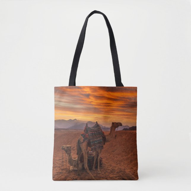 Wüsten | Bactrian Camel Egypt Sand Dune (Vorderseite)