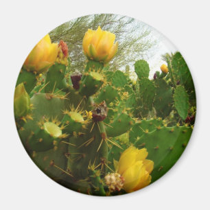 Wüsten-Blume Magnet