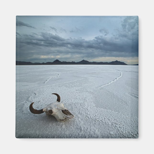 Wüsten | Bonneville Salt Flats Utah Magnet (Vorne)