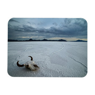 Wüsten   Bonneville Salt Flats Utah Magnet