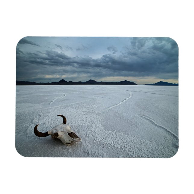 Wüsten | Bonneville Salt Flats Utah Magnet (Horizontal)