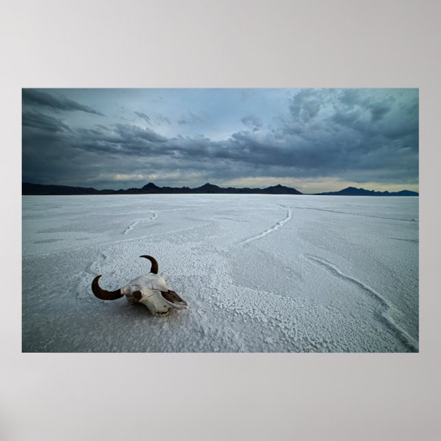 Wüsten | Bonneville Salt Flats Utah Poster (Vorne)
