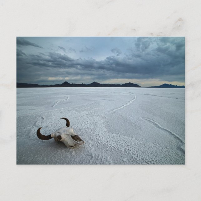 Wüsten | Bonneville Salt Flats Utah Postkarte (Vorderseite)