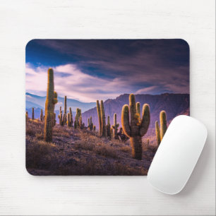 Wüsten   Cactus Landscape Argentinien Mousepad