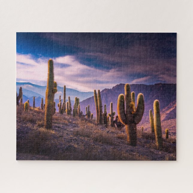 Wüsten | Cactus Landscape Argentinien Puzzle (Horizontal)