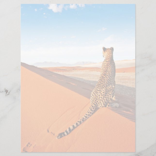 Wüsten | Cheetah Savannah Wüste (Vorderseite)