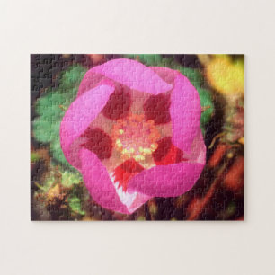 Wüsten-Fünf-Tupfen-Wildblume Puzzle