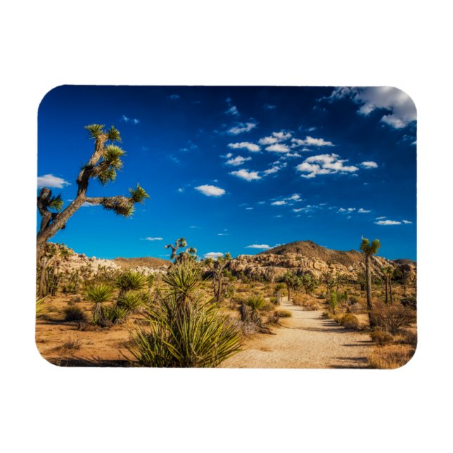 Wüsten | Joshua Tree Nationalpark Magnet (Horizontal)