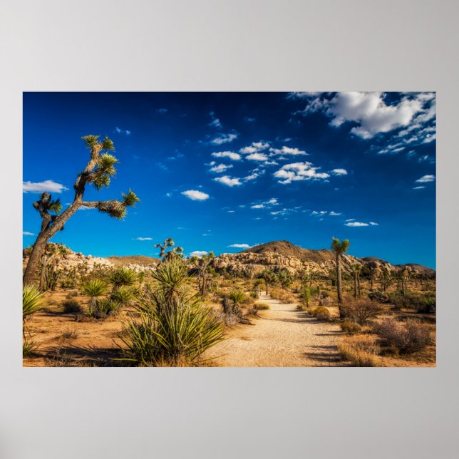 Wüsten | Joshua Tree Nationalpark Poster (Vorne)