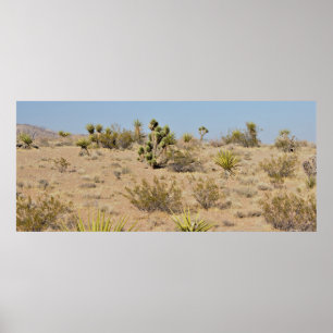 Wüsten-Kaktus und Pflanzen Poster