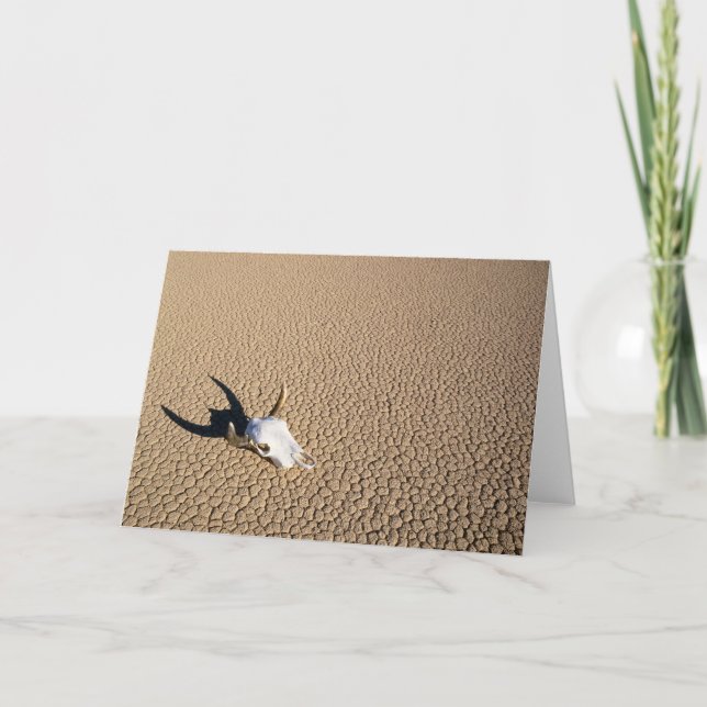 Wüsten | Kuhschädel auf dem Wüstenboden Karte (Vorderseite)