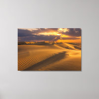Wüsten | Landschaft der Sanddünen
