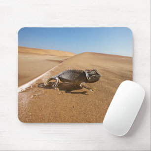 Wüsten   Namaqua Chameleon in der Wüste Mousepad