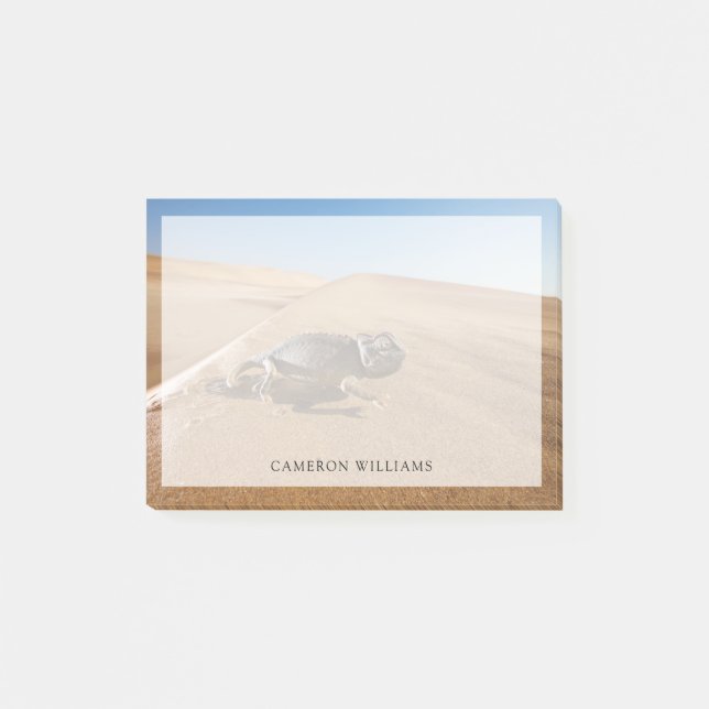 Wüsten | Namaqua Chameleon in der Wüste Post-it Klebezettel (Vorderseite)