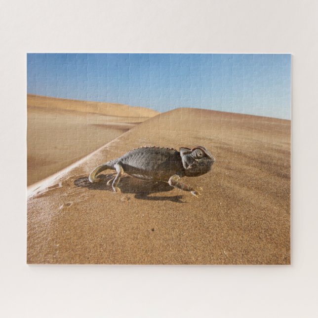 Wüsten | Namaqua Chameleon in der Wüste Puzzle (Horizontal)
