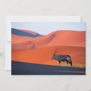 Wüsten   Namib Desert Oryx Dankeskarte