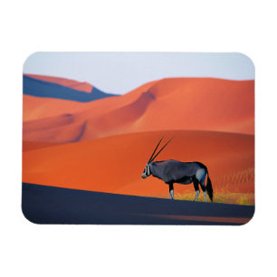 Wüsten Namib Desert Oryx Magnet