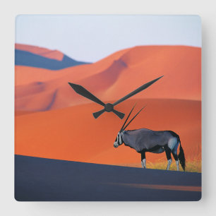 Wüsten Namib Desert Oryx Quadratische Wanduhr