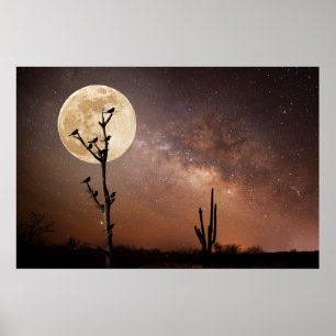 Wüsten Saguaro Kaktus mit Vögeln in der Wüste Poster