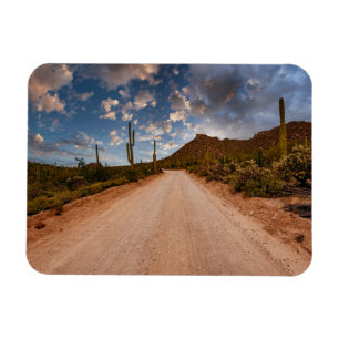 Wüsten   Saguaro Nationalpark Arizona Magnet