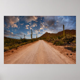 Wüsten   Saguaro Nationalpark Arizona Poster