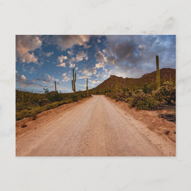 Wüsten | Saguaro Nationalpark Arizona Postkarte (Vorderseite)