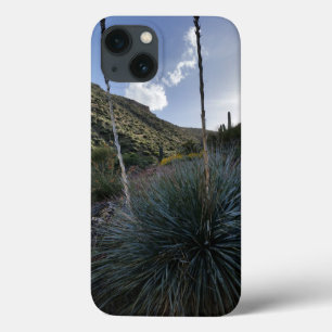 Wüsten-Südwest-Sotol-Pflanzen Landschaftsbild Ariz Case-Mate iPhone Hülle